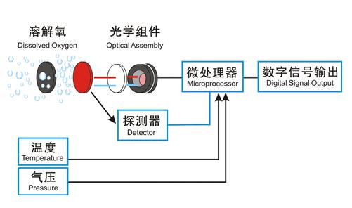 荧光法传感器特点