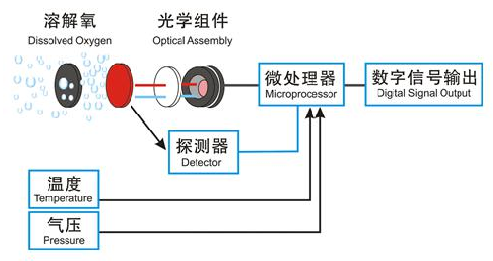 溶解氧仪原理