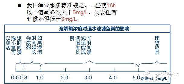 溶解氧传感器