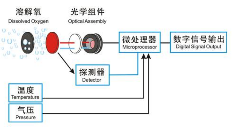 荧光法溶解氧测定仪原理