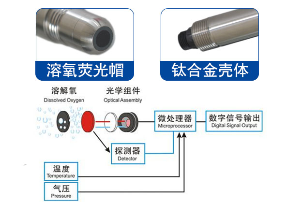 溶解氧传感器