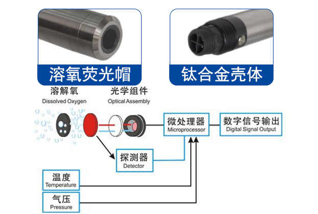 溶解氧传感器