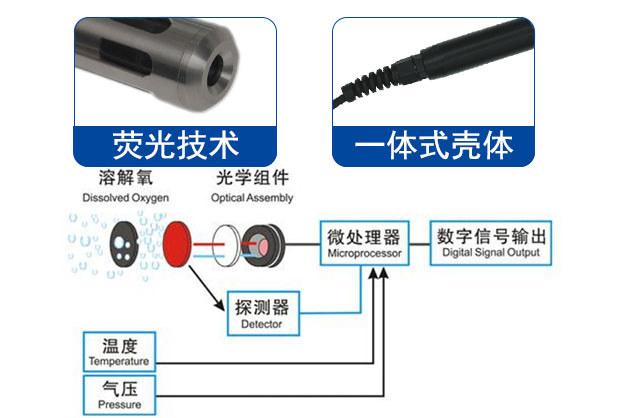 溶解氧传感器