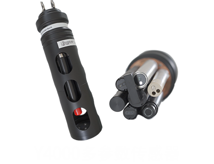 在线多参数传感器