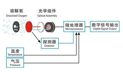 荧光法溶氧仪