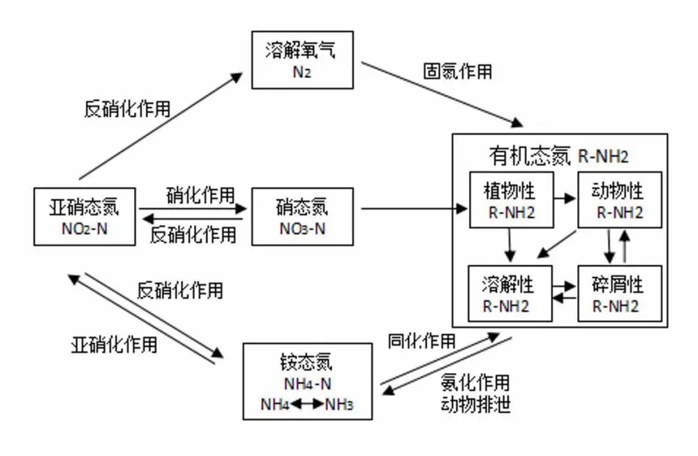 氨氮来源