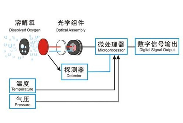 溶解氧传感器