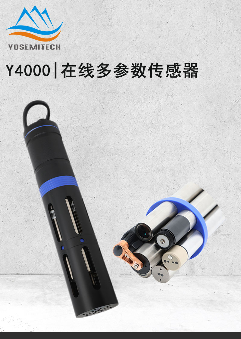 在线五参数传感器