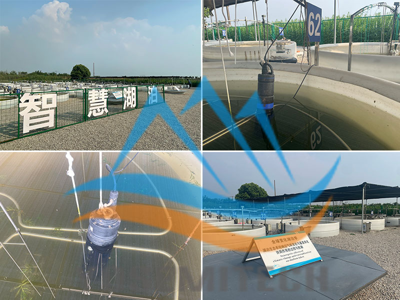 在线多参数传感器