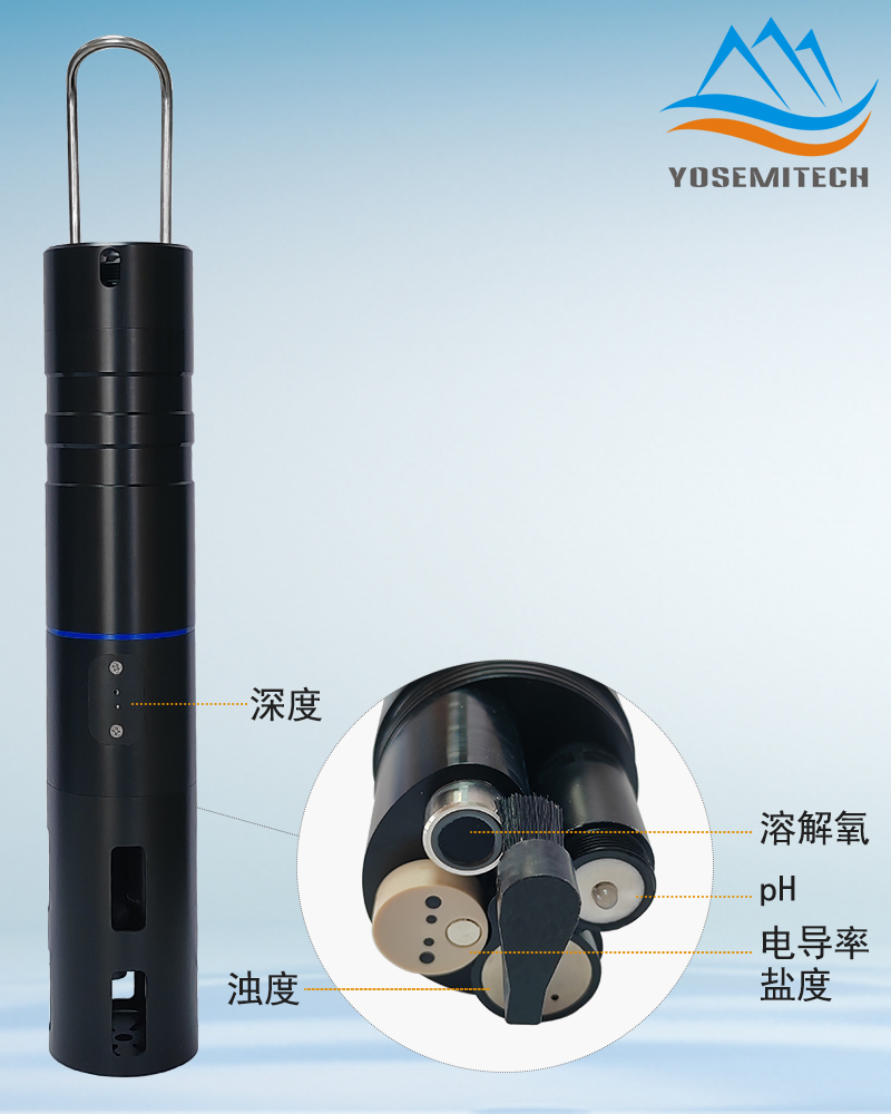 一体式多参数传感器