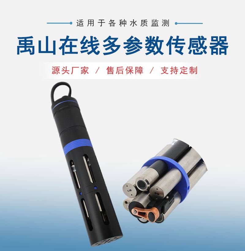 在线多参数传感器