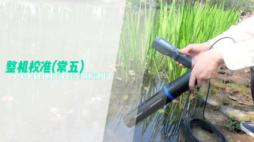 便携式多参数传感器